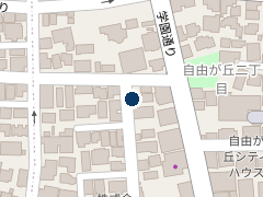 NPC24H自由が丘第2パーキングの位置