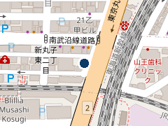 タイムズ川崎小杉町の位置