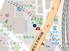 タイムズ川崎小杉町第３の位置