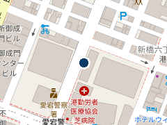ＴＮＳ西新橋３丁目第２の位置